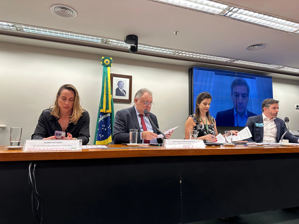 Florentino Neto presidiu uma audiência pública para discutir os impactos à economia brasileira