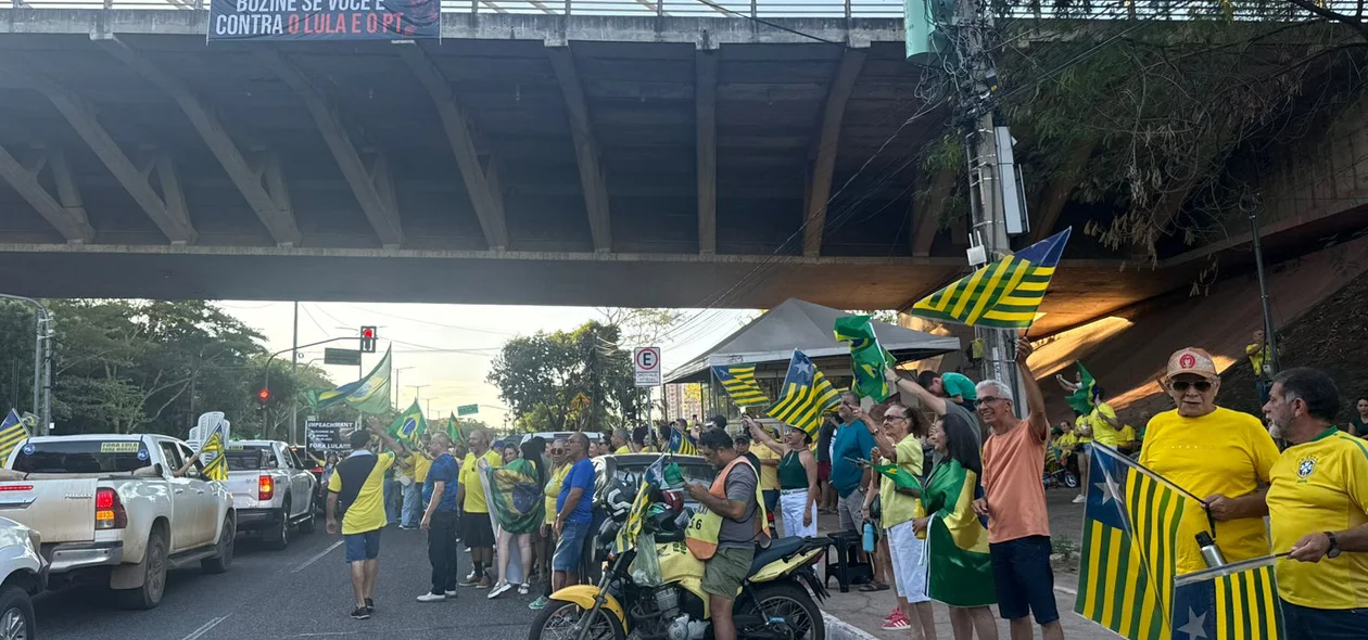 Manifestação realizada por apoiadores de Bolsonaro