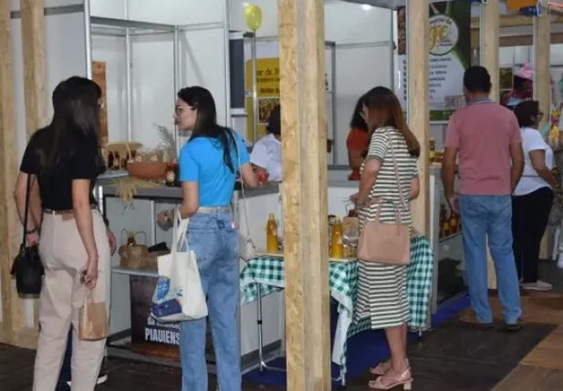 Mercado do Produtor de Teresina acontece de 7 a 10 de agosto na Ponte Estaiada