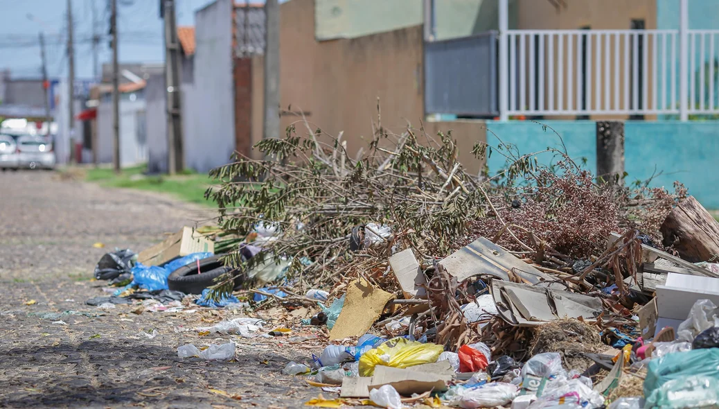 Montanha de lixo acumulado no bairro Novo Horizonte