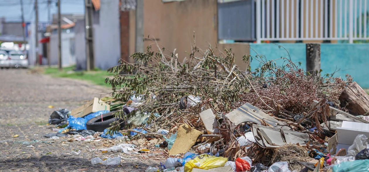 Montanha de lixo acumulado no bairro Novo Horizonte