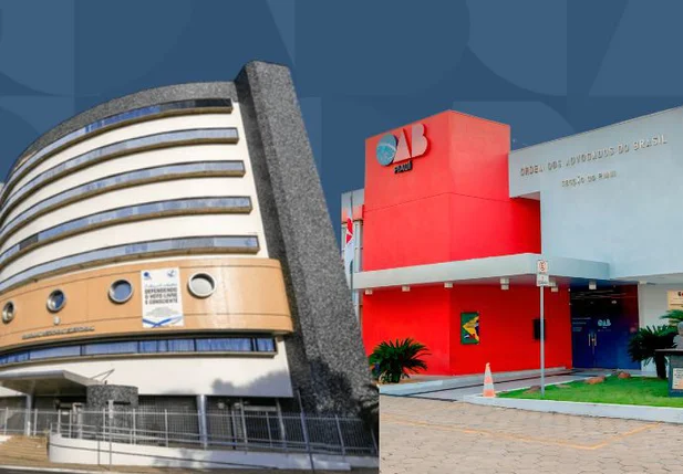 OAB-PI defende presença majoritária de mulheres nas listas para o TRE-PI