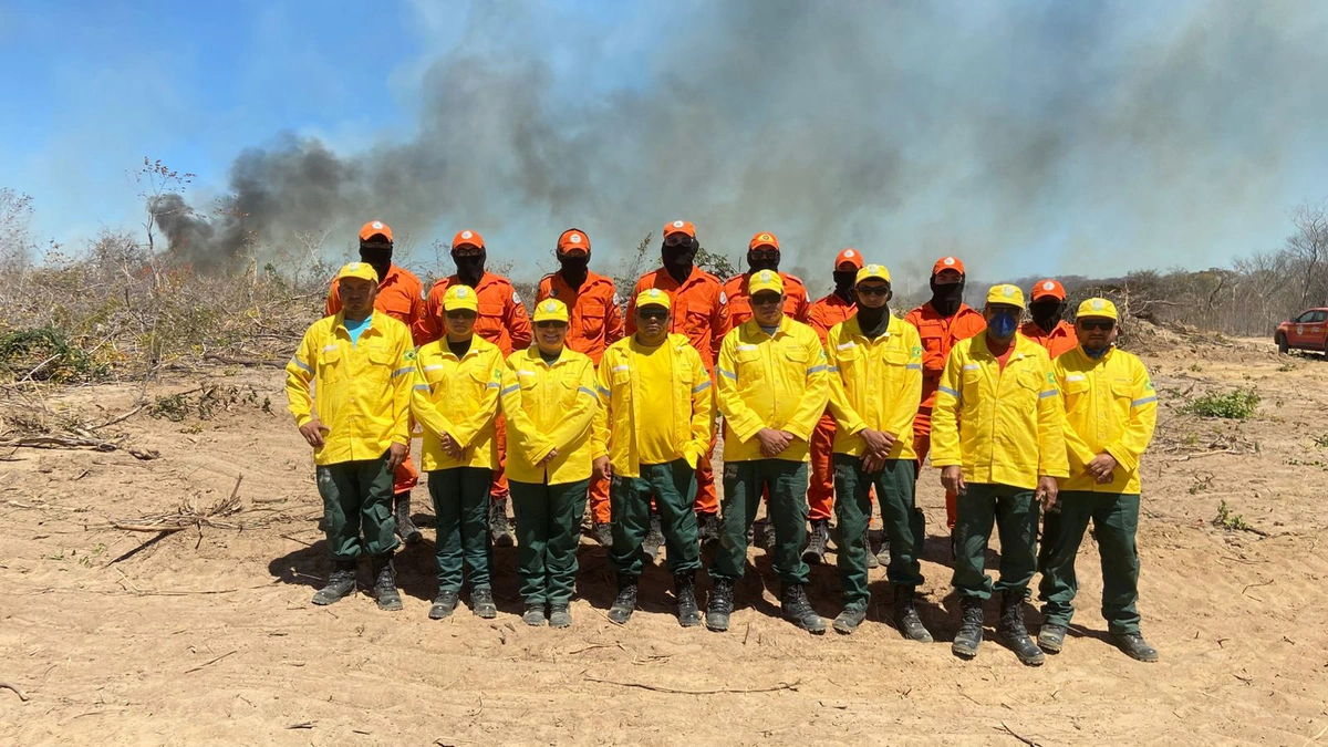Operação para combater focos de incêndio em Pavussu