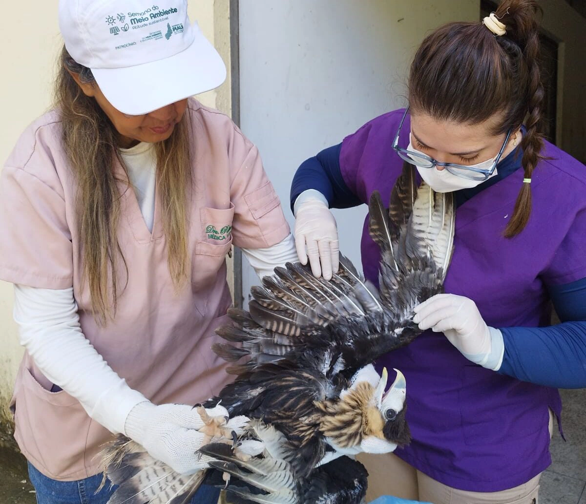 Profisisonais do Centro de Triagem de Animais Silvestres