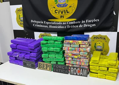 Tabletes de maconha apreendidos