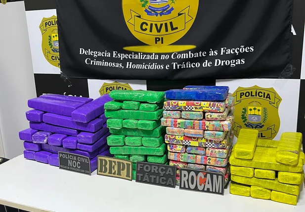 Tabletes de maconha apreendidos