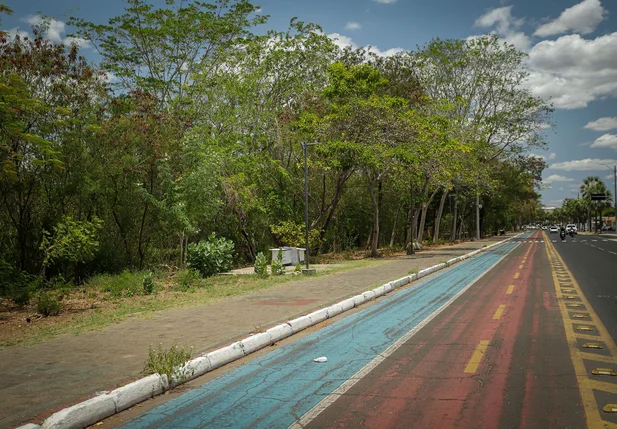 Avenida Marechal Castelo Branco