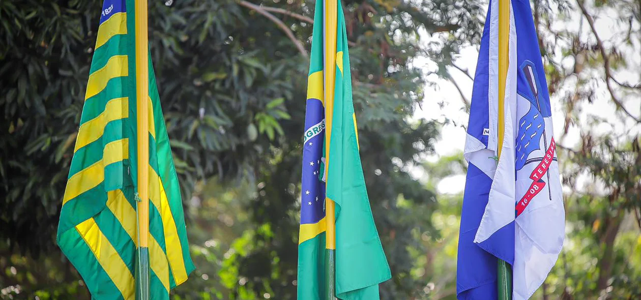 Bandeiras do Piauí, Brasil e Teresina