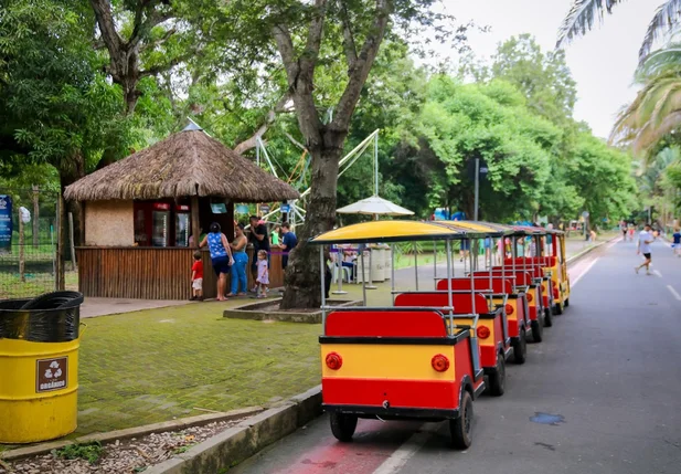 Bioparque Zoobotânico passa a funcionar à noite de quinta a domingo