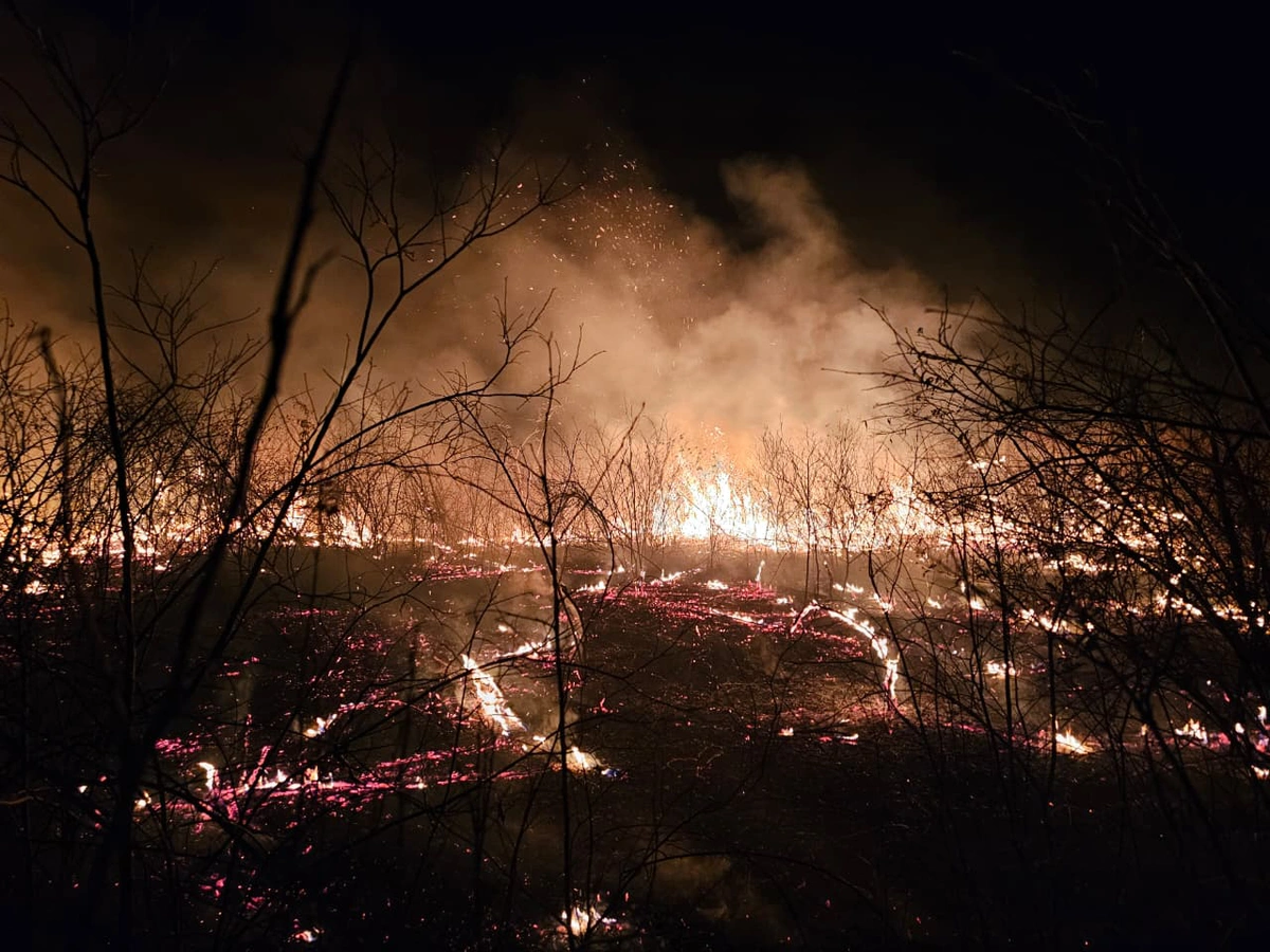 Brigadistas controlam incêndio de grandes proporções em Pimenteiras