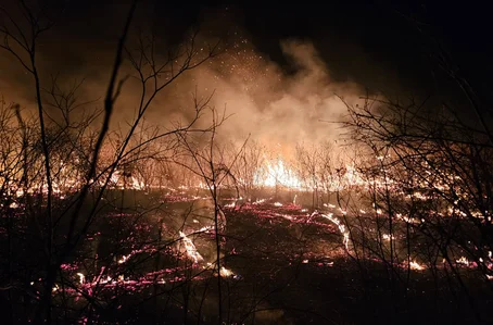 Brigadistas controlam incêndio de grandes proporções em Pimenteiras