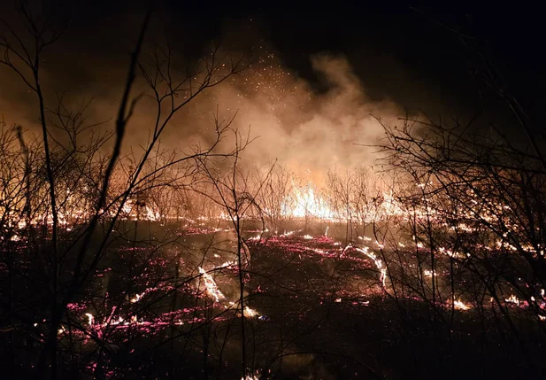 Brigadistas controlam incêndio de grandes proporções em Pimenteiras