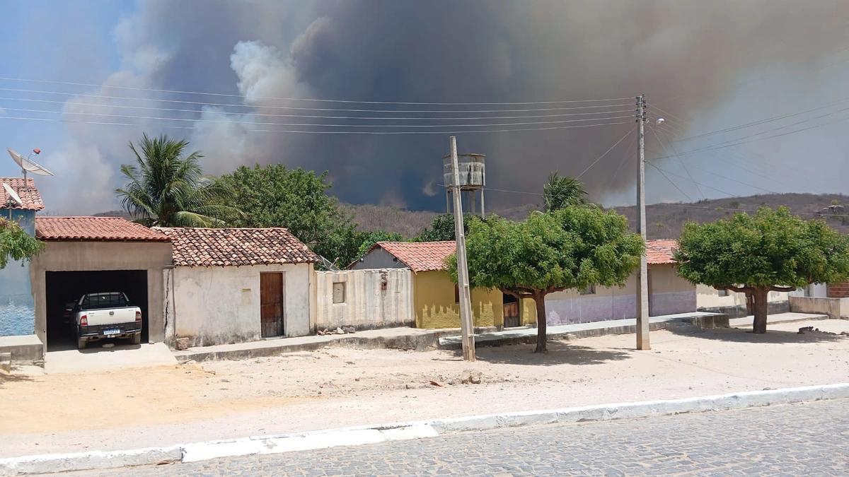 Brigadistas controlam incêndio de grandes proporções na cidade de Pimenteiras