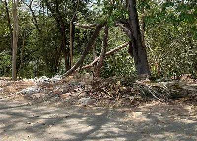 Descarte de lixo às margens do Rio Poti