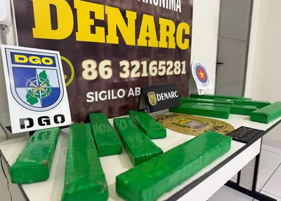 Droga apreendida pelo DENARC em conjunto com a Polícia Militar