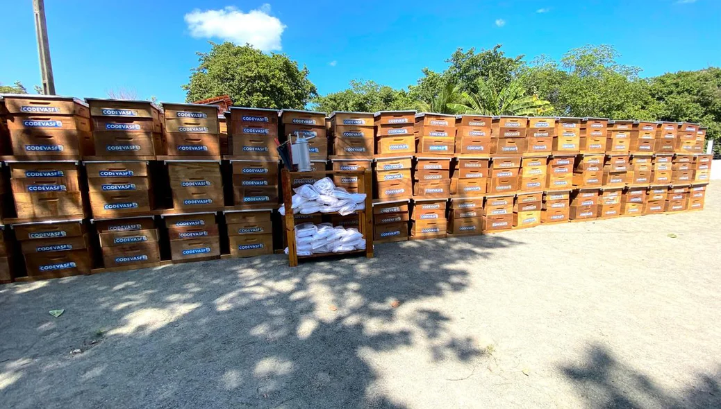 Equipamentos para a produção de mel