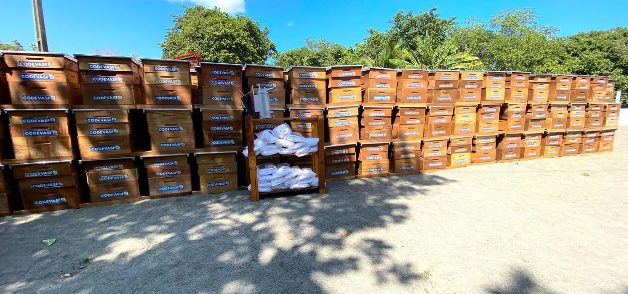 Equipamentos para a produção de mel