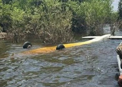 FAB intercepta avião suspeito no espaço aéreo do Amazonas