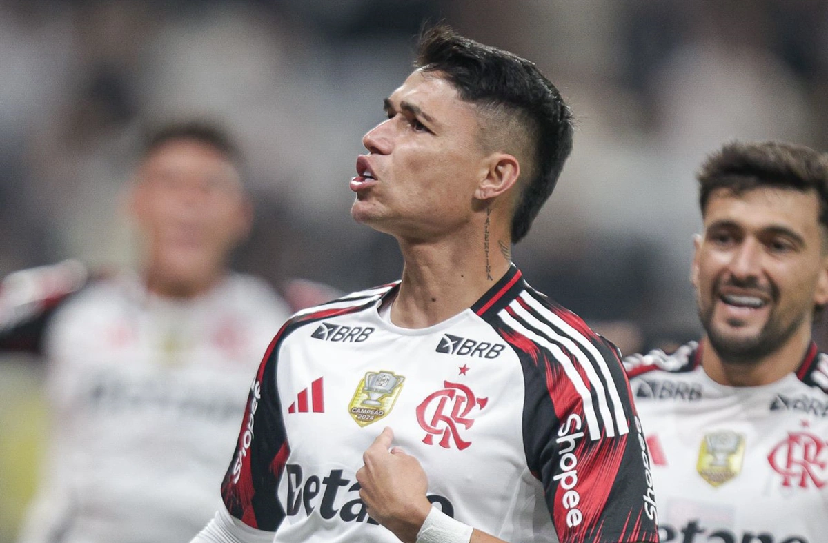Luís Araújo fez o gol de virada do Flamengo