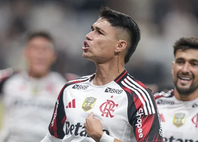 Luís Araújo fez o gol de virada do Flamengo