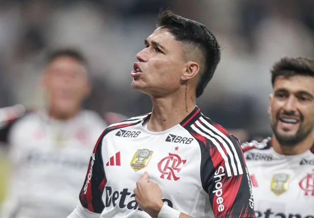 Luís Araújo fez o gol de virada do Flamengo