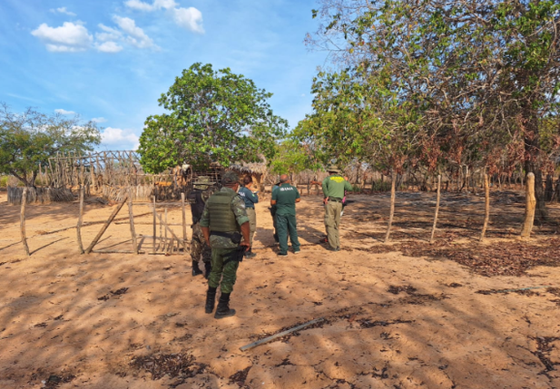 Mais de 20 animais silvestres e 10 armas são apreendidos em ação ambiental no Piauí