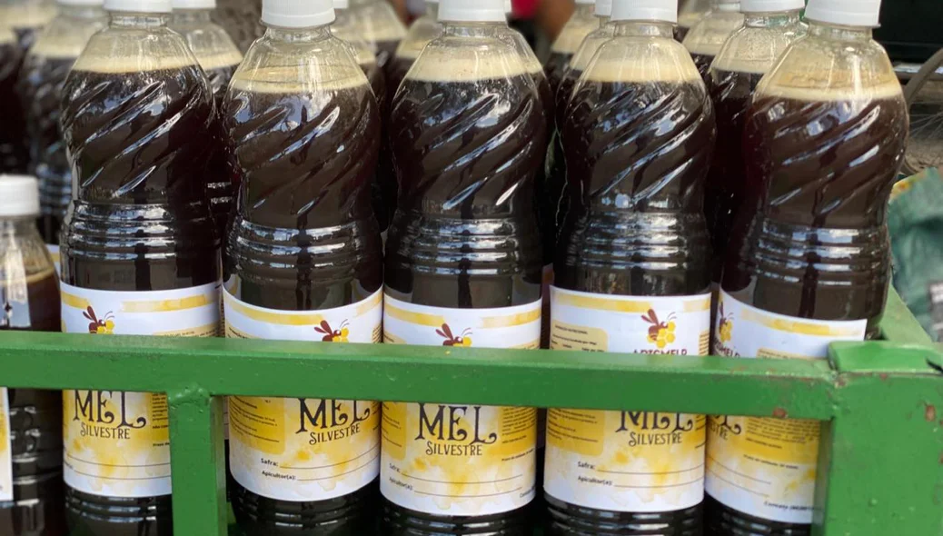 Mel produzido por apicultores locais