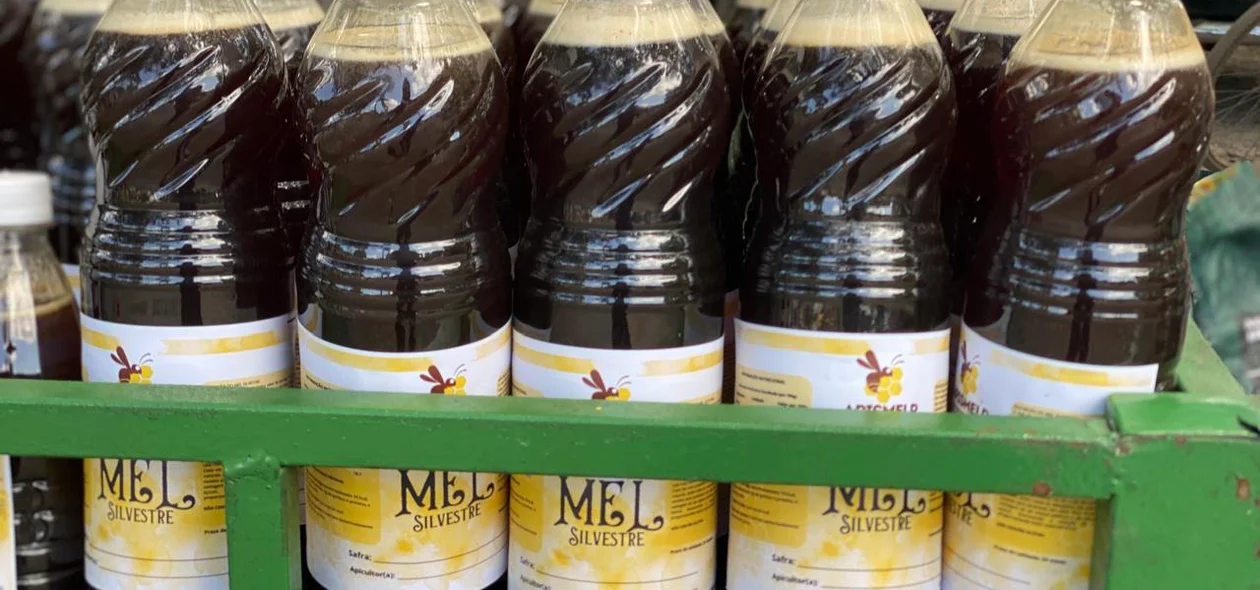 Mel produzido por apicultores locais