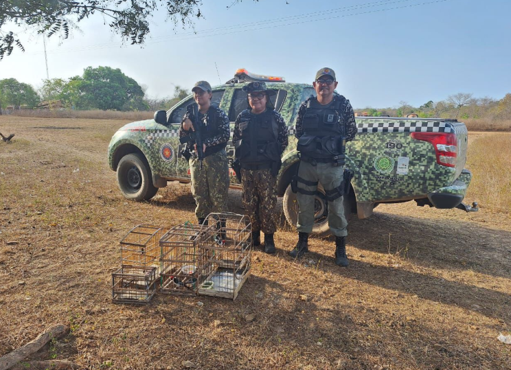 Polícia Militar resgata animais silvestres mantidos em cativeiro em Caraúbas do Piauí