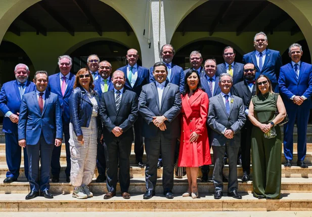 Presidente do Tribunal de Justiça do Piauí em reunião com Davi Alcolumbre