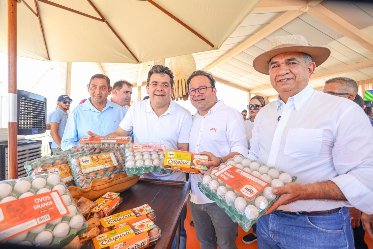 Produção de ovos no Piauí cresce 75% e registra aumento histórico