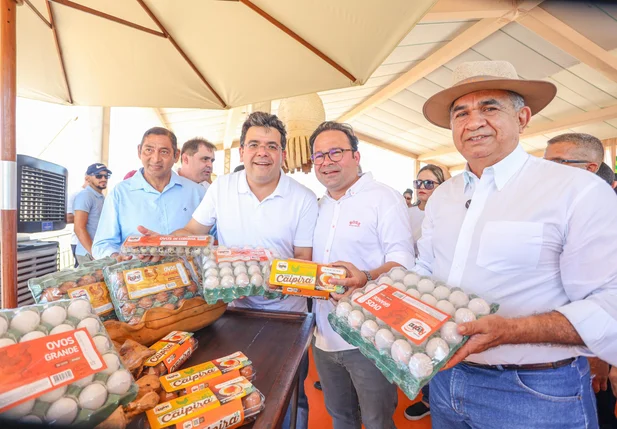 Produção de ovos no Piauí cresce 75% e registra aumento histórico
