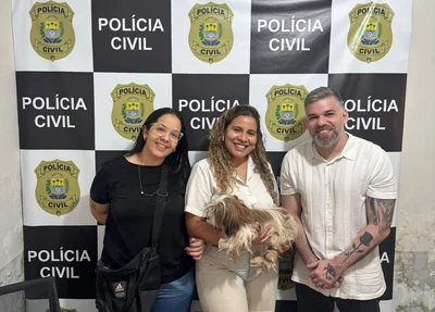 Recuperação de cachorro