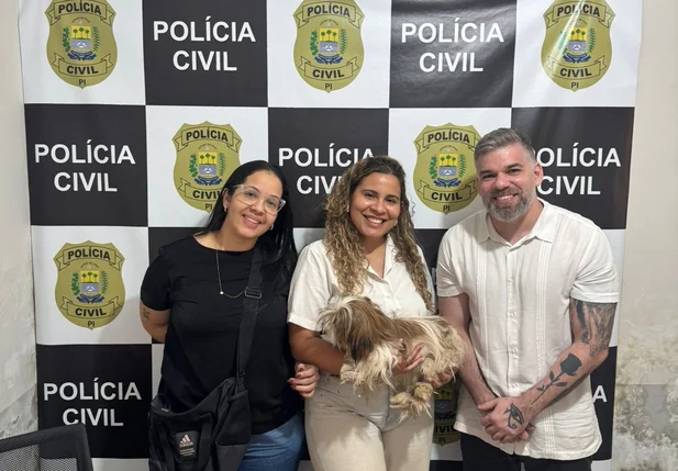Recuperação de cachorro