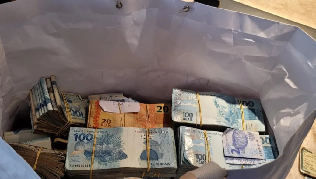 Sacola de dinheiro em espécie