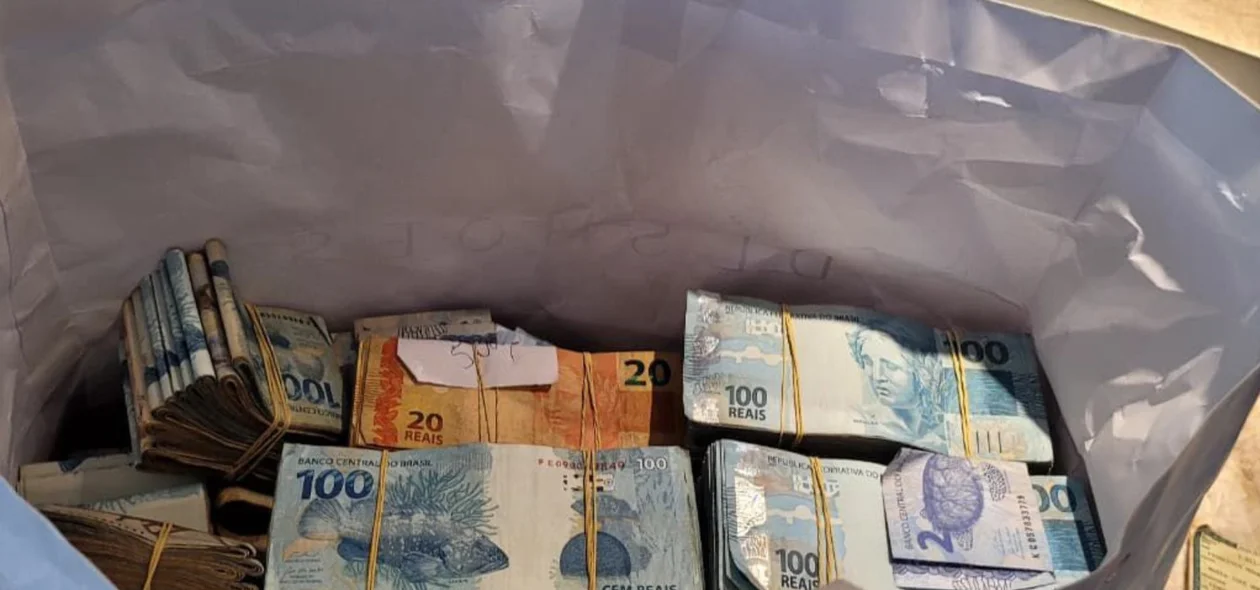 Sacola de dinheiro em espécie