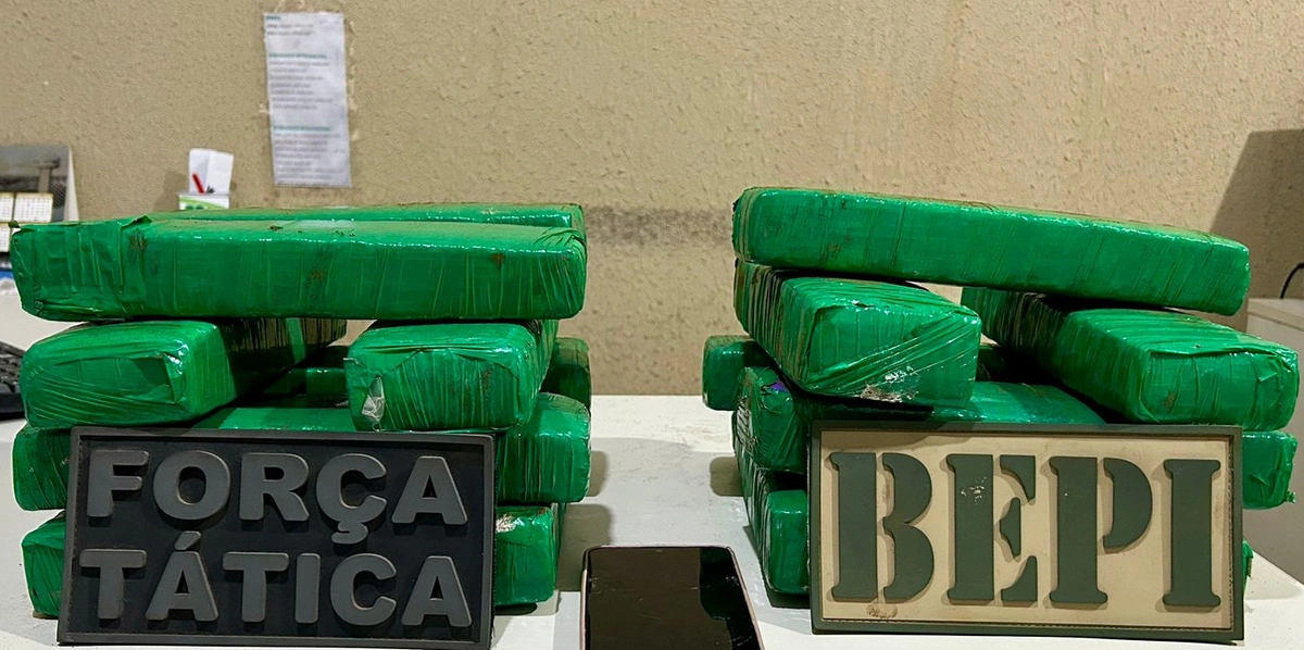 Tabletes de maconha apreendidos