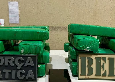 Tabletes de maconha apreendidos