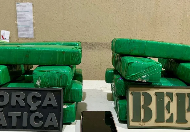 Tabletes de maconha apreendidos