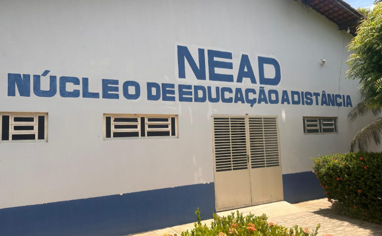 Uespi abre processo seletivo para professores na modalidade a distância