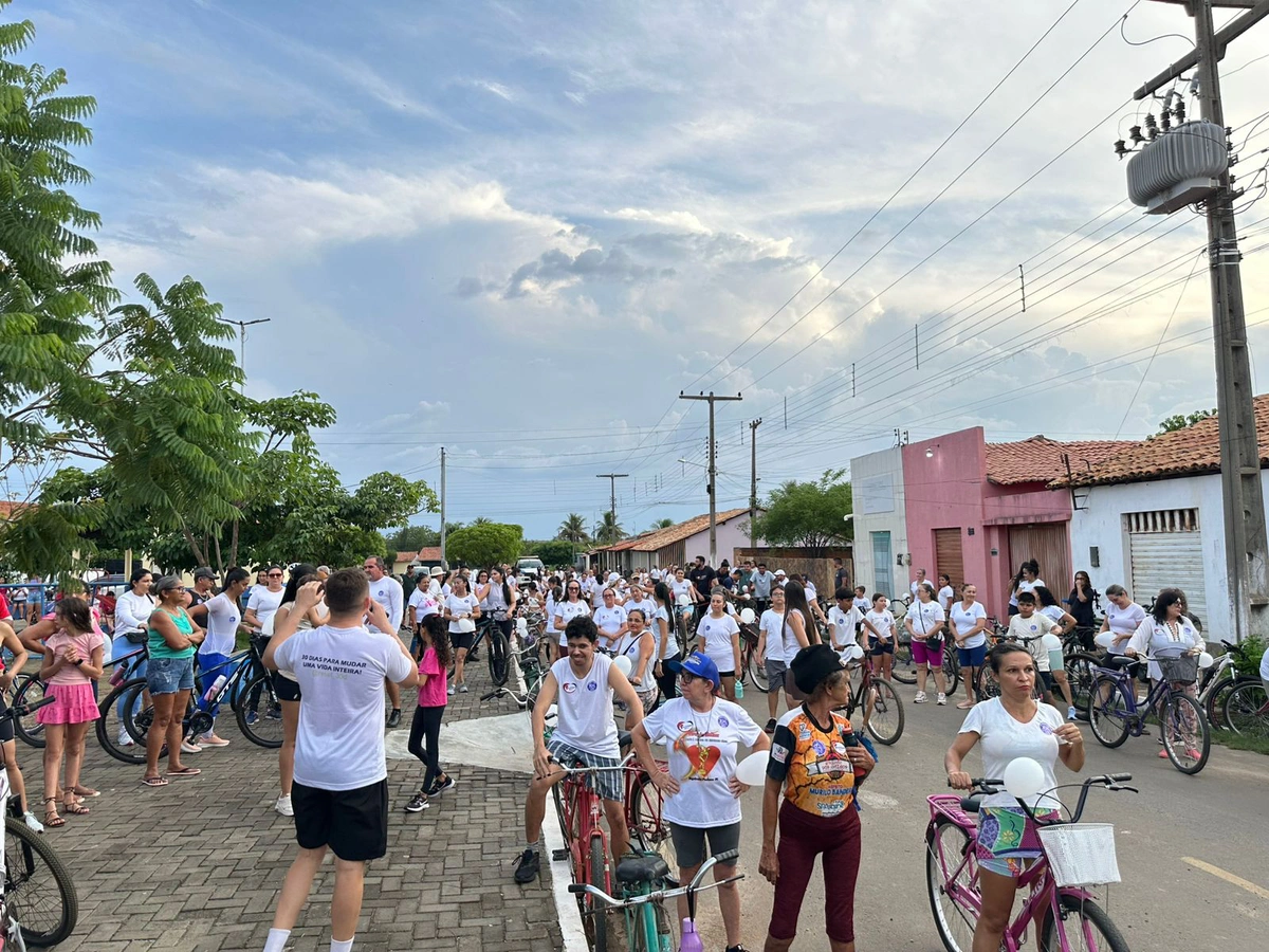 Ação em Sigefredo Pacheco