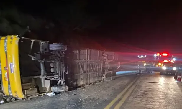 Acidente com ônibus de turismo em Minas Gerais deixa cinco mortos