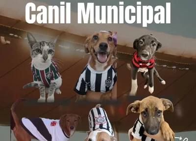 Campanha de adoção do Canil Municipal de Juiz de Fora