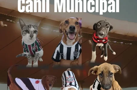 Campanha de adoção do Canil Municipal de Juiz de Fora