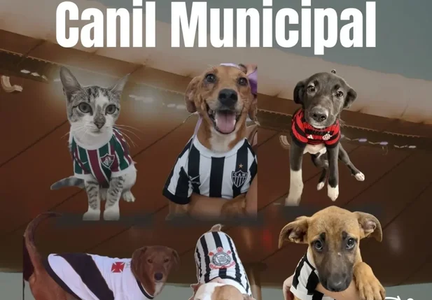 Campanha de adoção do Canil Municipal de Juiz de Fora