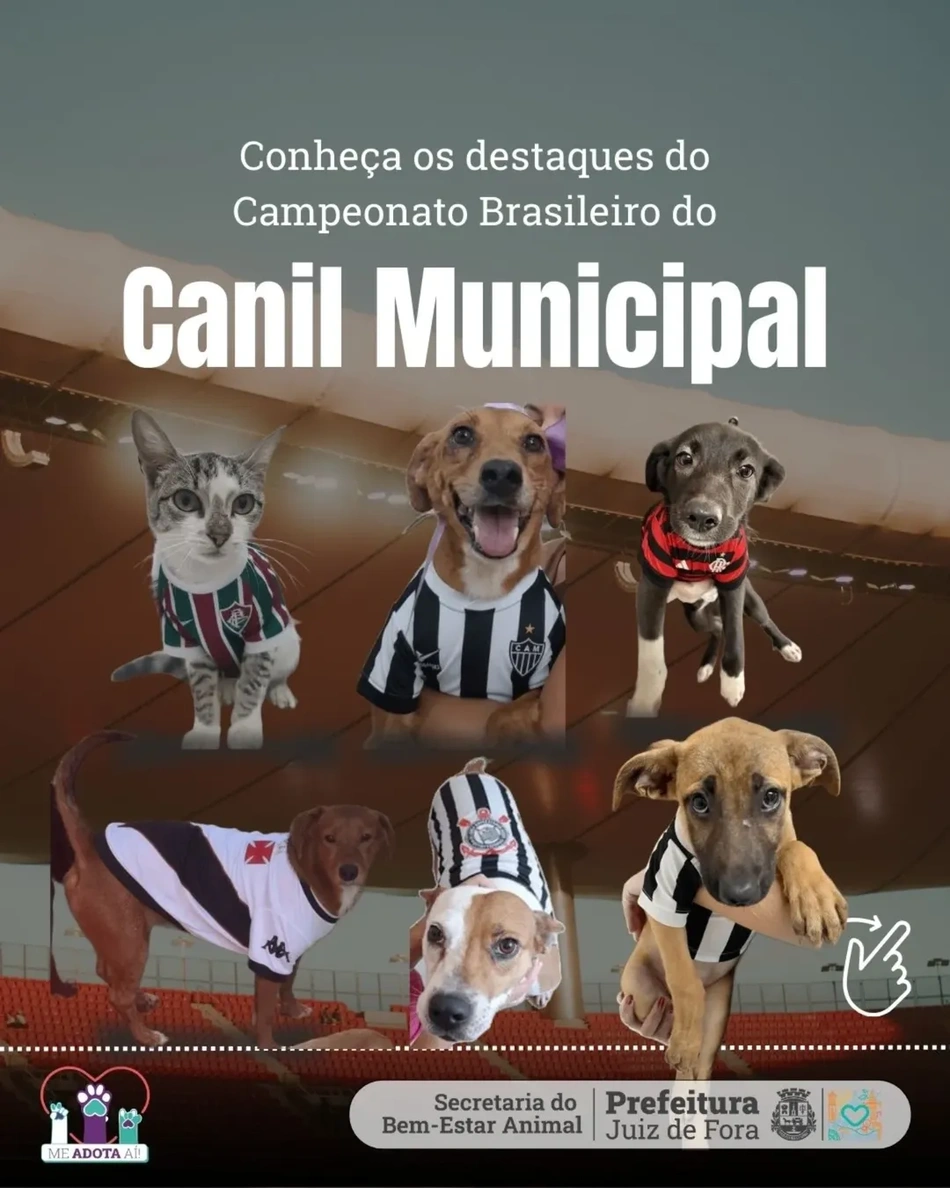 Campanha de adoção do Canil Municipal de Juiz de Fora