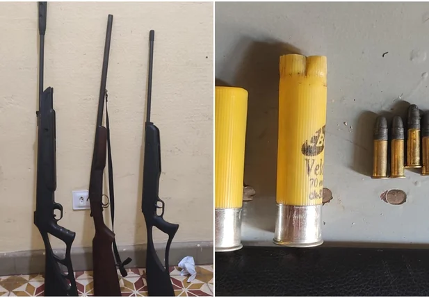 Espingardas e rifle foram encontrados na casa do acusado de matar cachorro a tiros