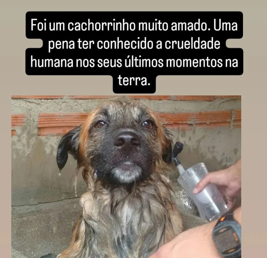 Evaristo fugiu de casa no dia 16 e foi encontrado morto dois dias depois