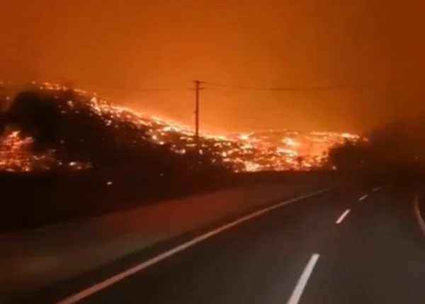 Incêndios florestais no Chile matam 16 e governo declara estado de catástrofe
