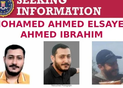 Mohamed Ahmed Elsayed Ahmed Ibrahim